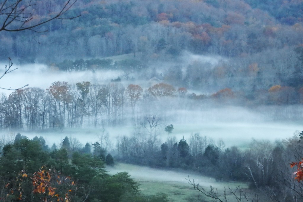 Morning mist