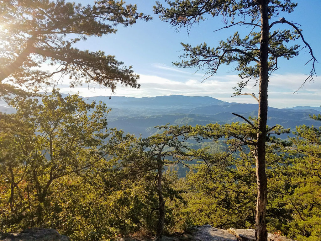 Looking out at the Smoky Mountains at morning